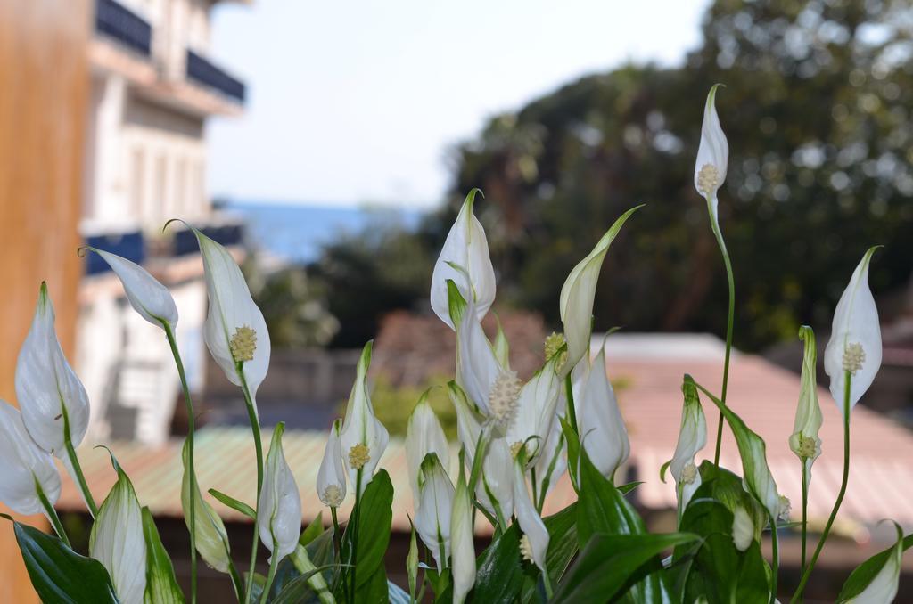 Casa Vacanze Solemar マイオーリ 部屋 写真